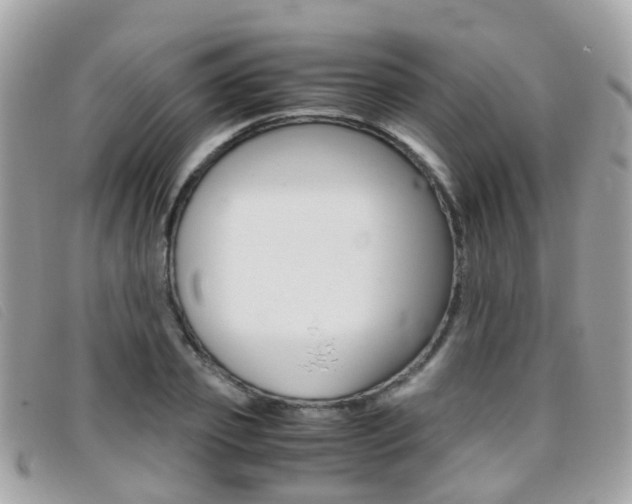 X0000095950933200801110912