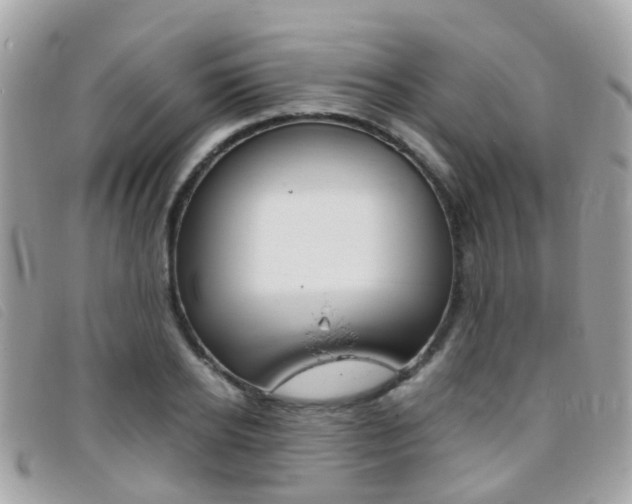 X0000095950934200801110912
