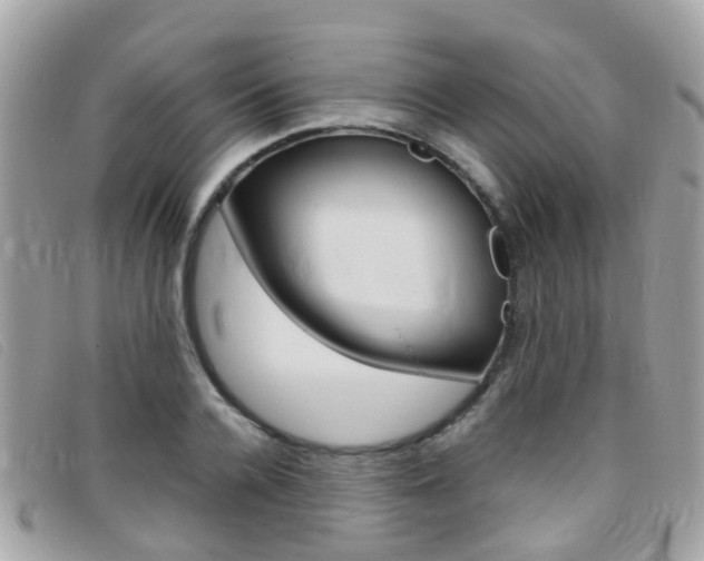 X0000095950936200801110912