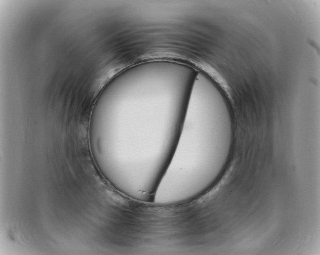 X0000095950937200801110912