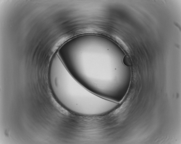 X0000095950938200801110912