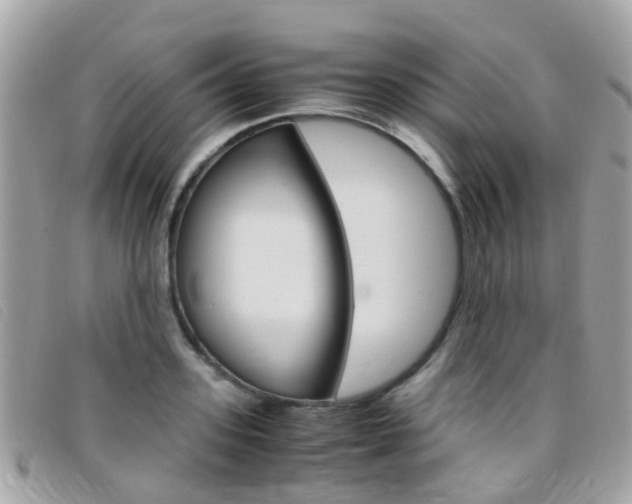 X0000095950939200801110912