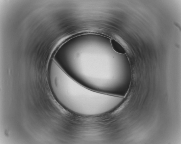 X0000095950940200801110912