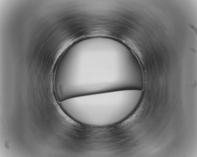 X0000095950941200801110913