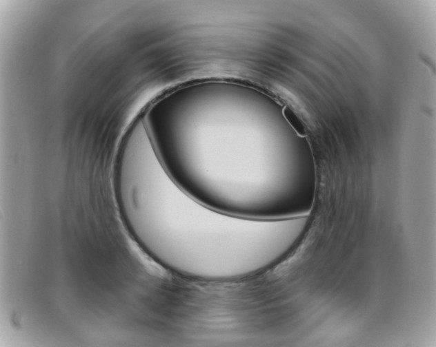 X0000095950942200801110913