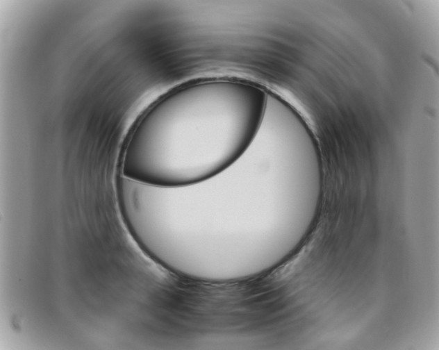 X0000095950943200801110913