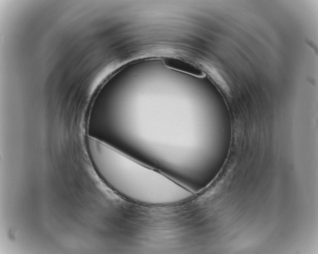X0000095950944200801110913