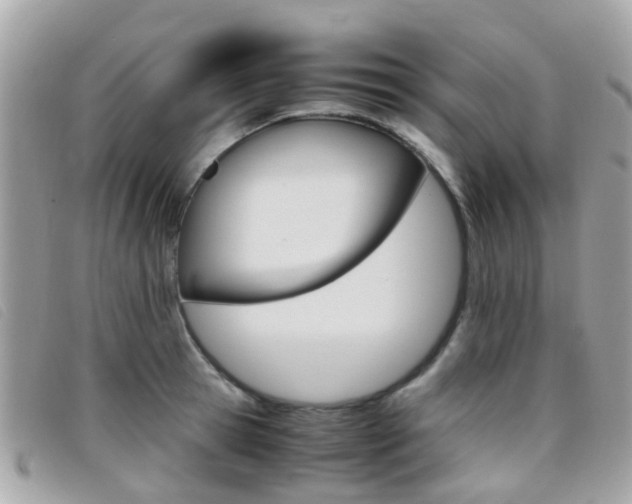 X0000095950945200801110913