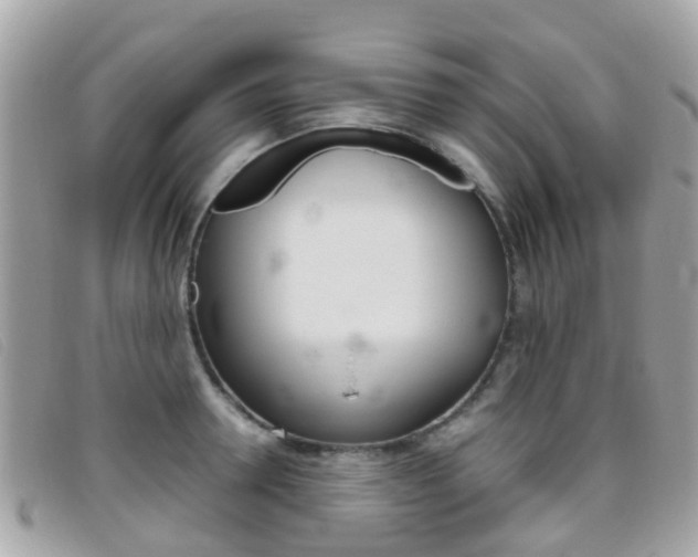X0000095950946200801110913