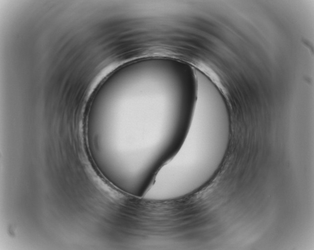 X0000095950947200801110913