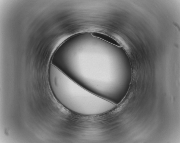 X0000095950948200801110913