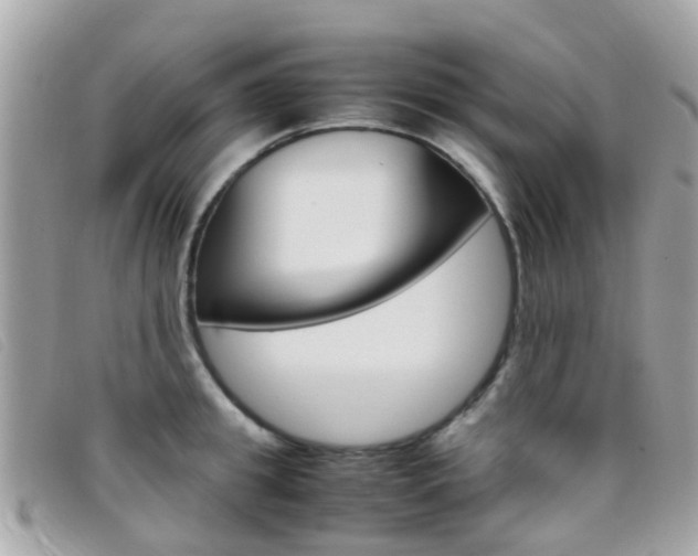 X0000095950949200801110913