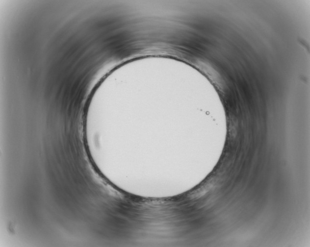 X0000095950950200801110913