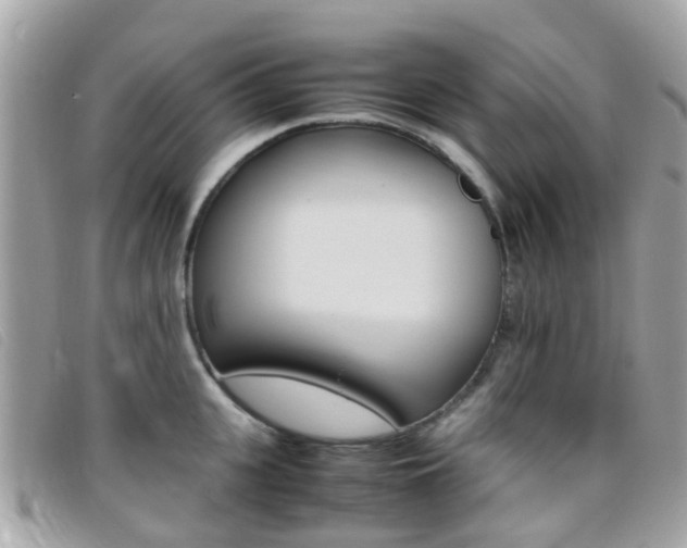 X0000095950951200801110913