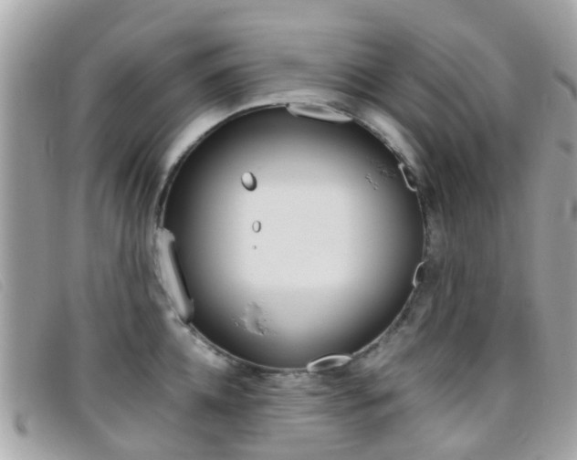 X0000095950952200801110913