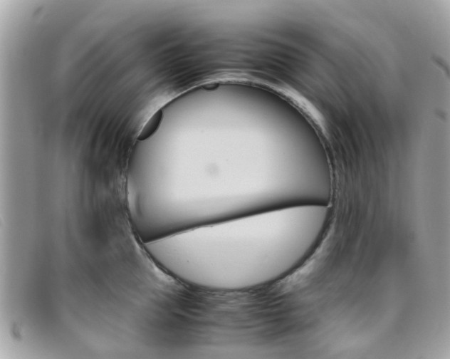 X0000095950953200801110913