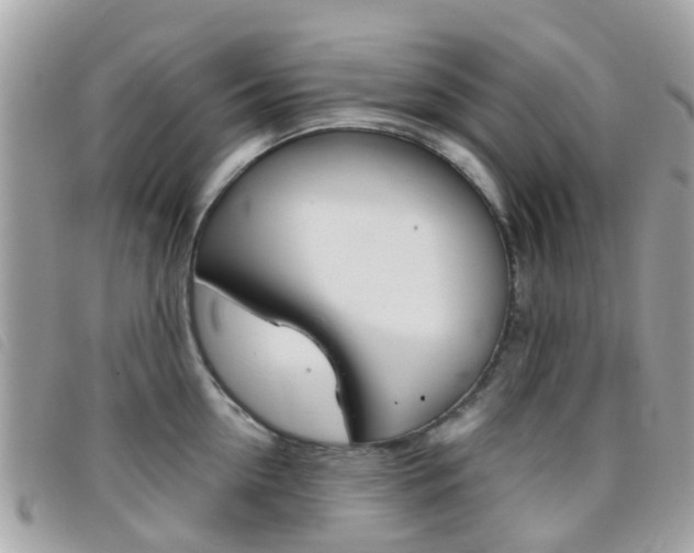 X0000095950954200801110913
