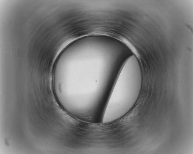 X0000095950955200801110913