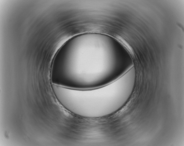 X0000095950956200801110913