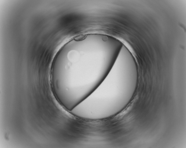 X0000095950957200801110913
