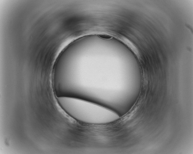 X0000095950958200801110913