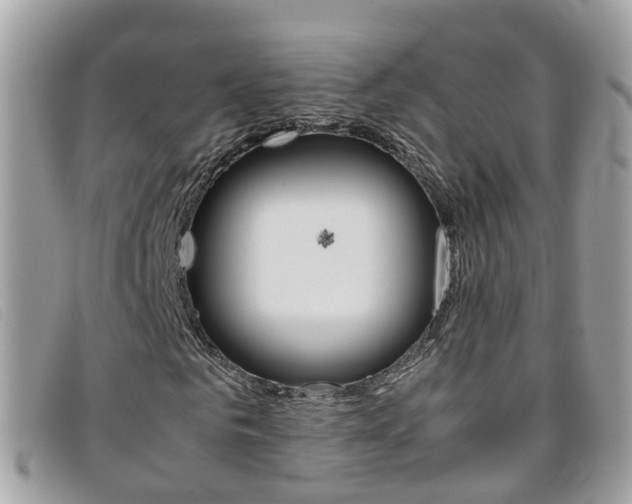 X0000095950961200801110912