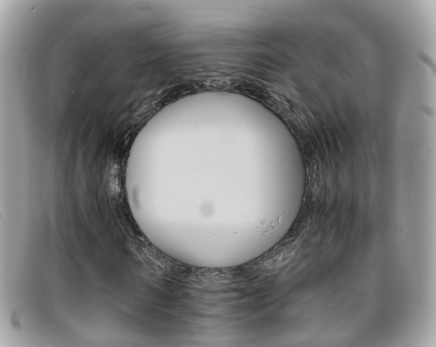 X0000095950962200801110912