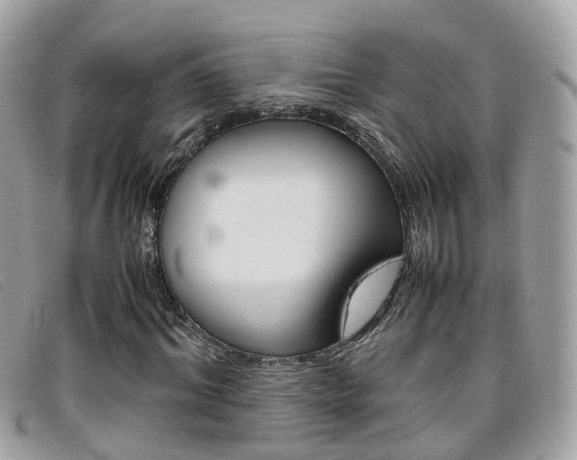 X0000095950964200801110912