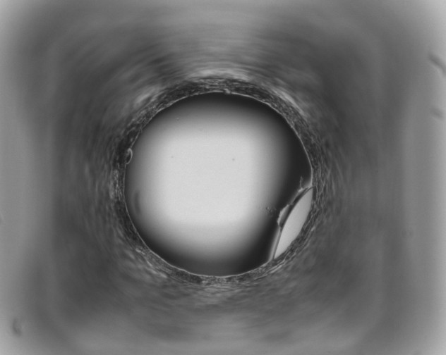 X0000095950965200801110912