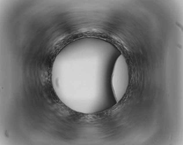 X0000095950966200801110912