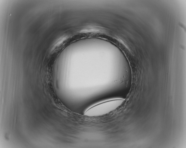 X0000095950967200801110912