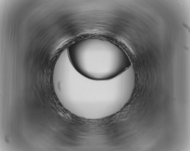 X0000095950968200801110912