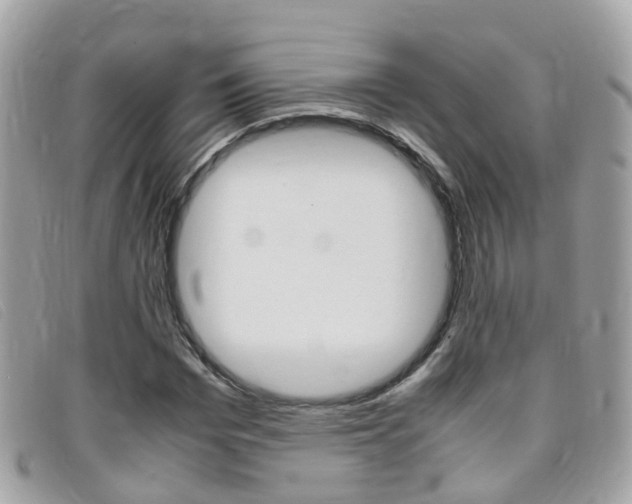 X0000095950969200801110912