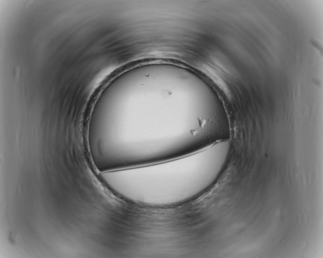 X0000095950972200801110912
