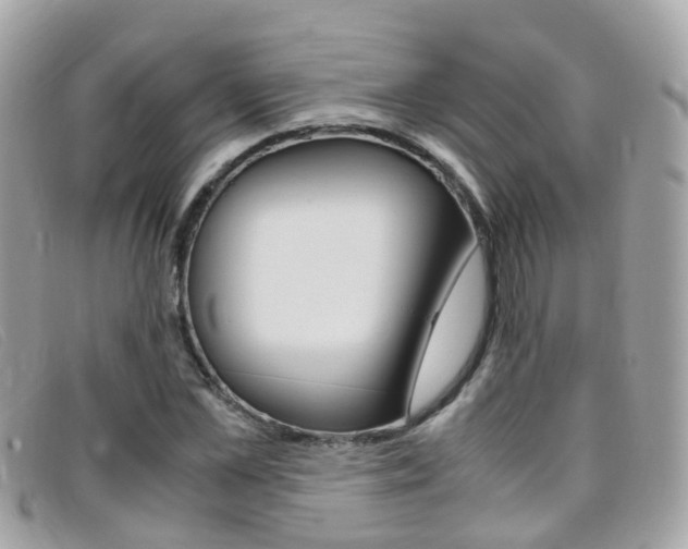 X0000095950973200801110912