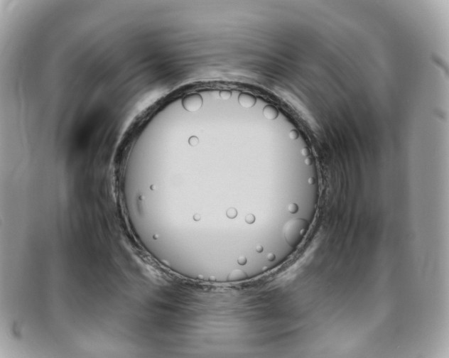 X0000095950974200801110912