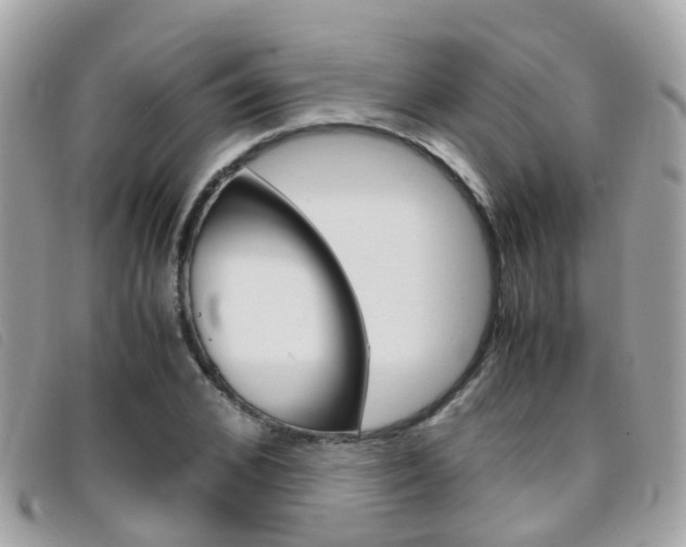 X0000095950976200801110912