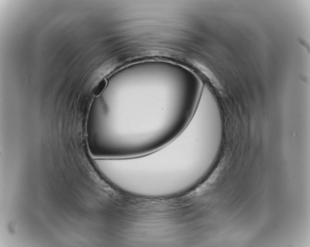 X0000095950977200801110912