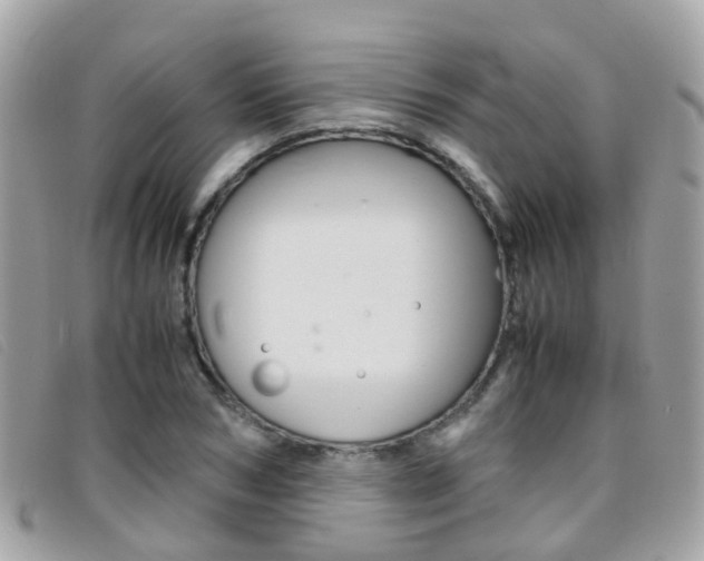 X0000095950978200801110912