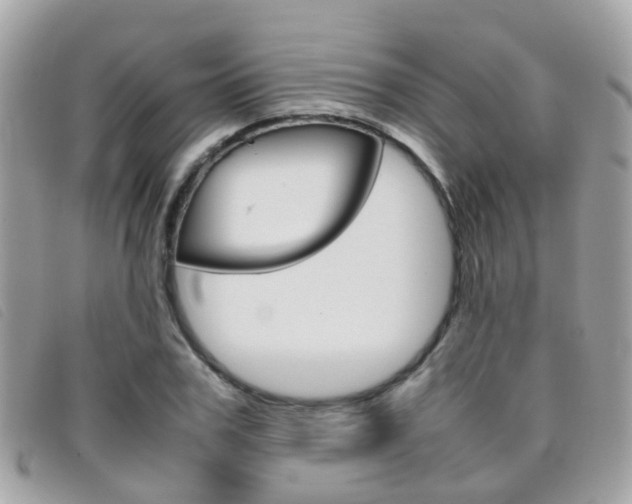 X0000095950979200801110912