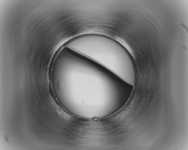X0000095950980200801110912