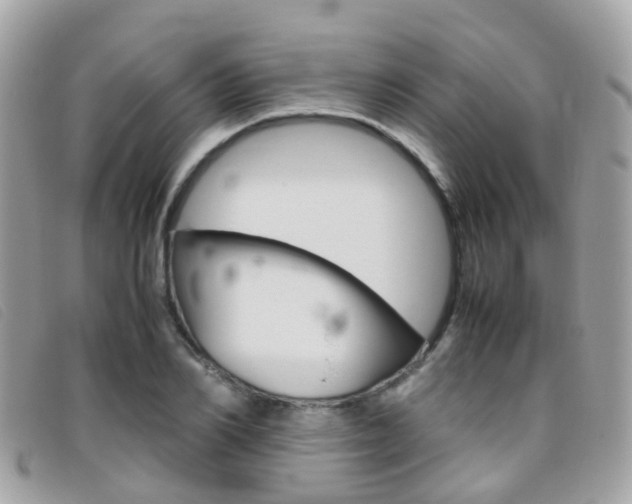 X0000095950982200801110912