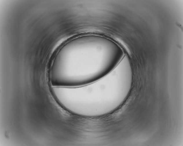 X0000095950983200801110912
