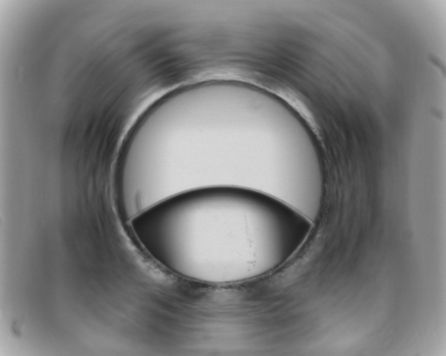 X0000095950984200801110912