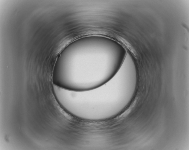 X0000095950985200801110912