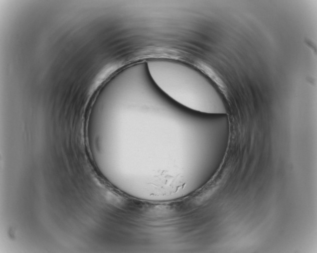 X0000095950986200801110912