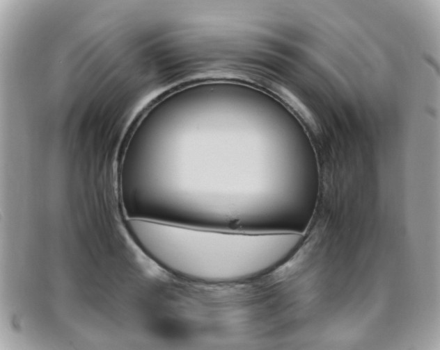 X0000095950988200801110912