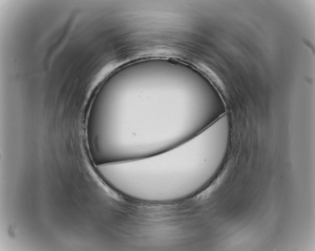 X0000095950989200801110912