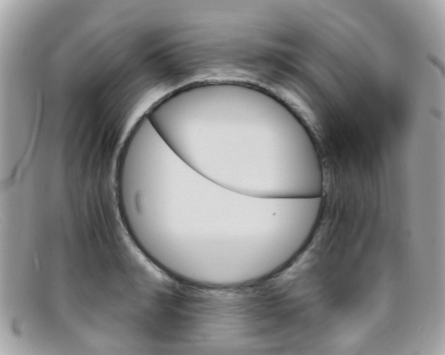 X0000095950990200801110912