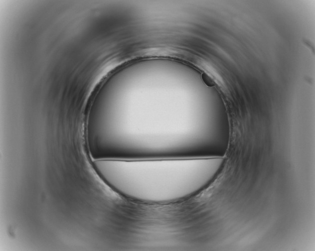 X0000095950992200801110912